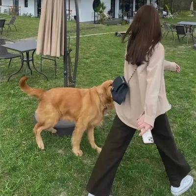 隔楼女孩：我们之间的层距